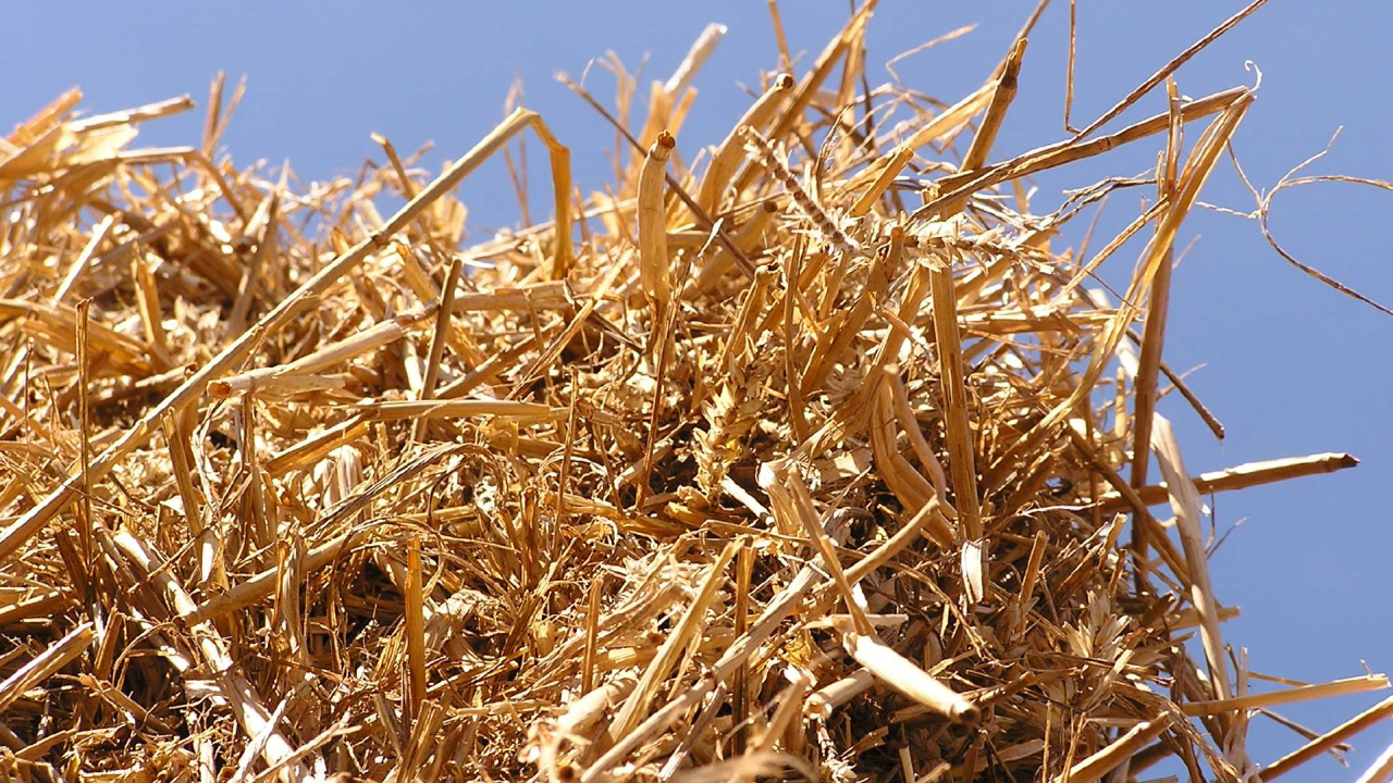 Voorlichting en demo Biobased isoleren